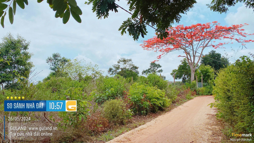 🌿 BÁN ĐẤT RỘNG 666M² KHU KOM LEO – PHƯỜNG TÂN LẬP – TP. BUÔN MA THUỘT – GIÁ CHỈ 2.5