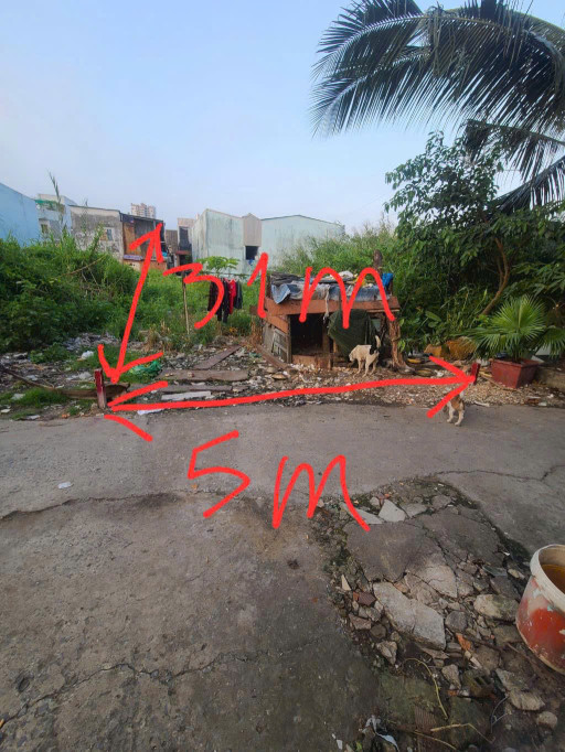BÁN ĐẤT 154M2 (DÀI 31M), HẺM TRẦN ĐẠI NGHĨA, Nhỉnh 4tỷ TL, chỉ 27tr/m2