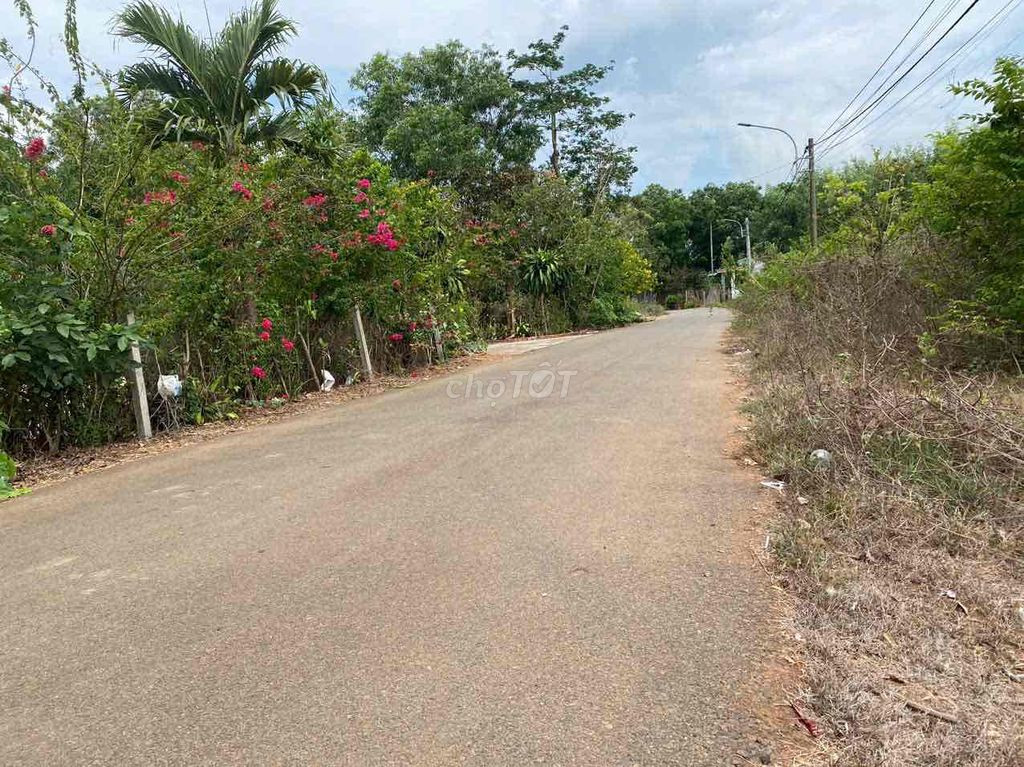 Bán đất 184.2m² ngang 9,7m giá 1.15 tỷ Phường Tân Thành
