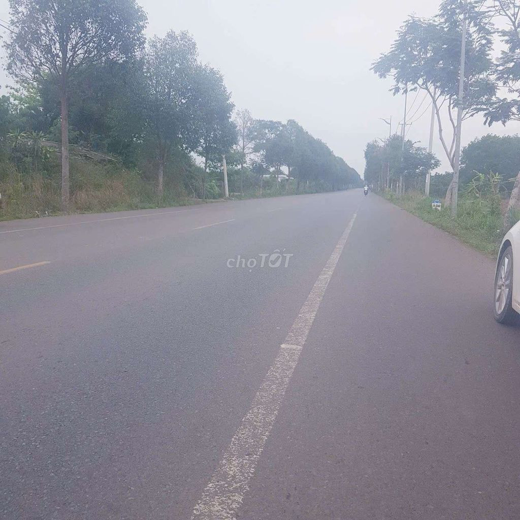Bán đất 2808m² giá 9.5 tỷ Phường Tân Thành