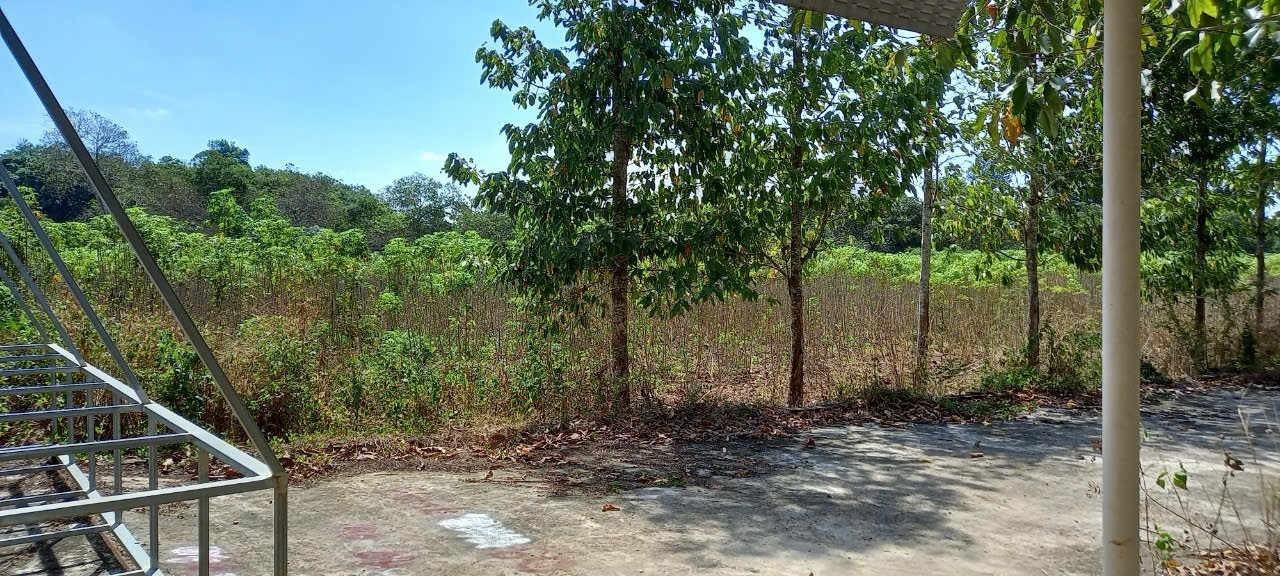 Bán đất 14194.8m² ngang 94m giá 18 tỷ Phường Tân Thành
