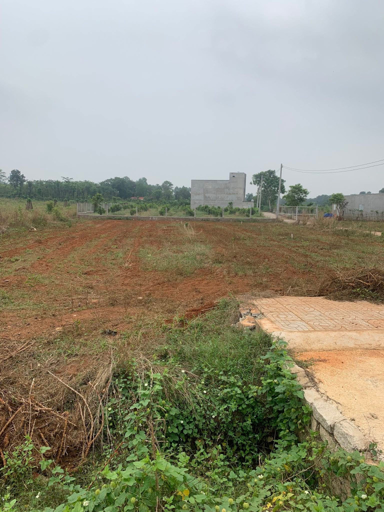 Bán đất 270m² ngang 6m giá 1.35 tỷ Phường Tân Thành