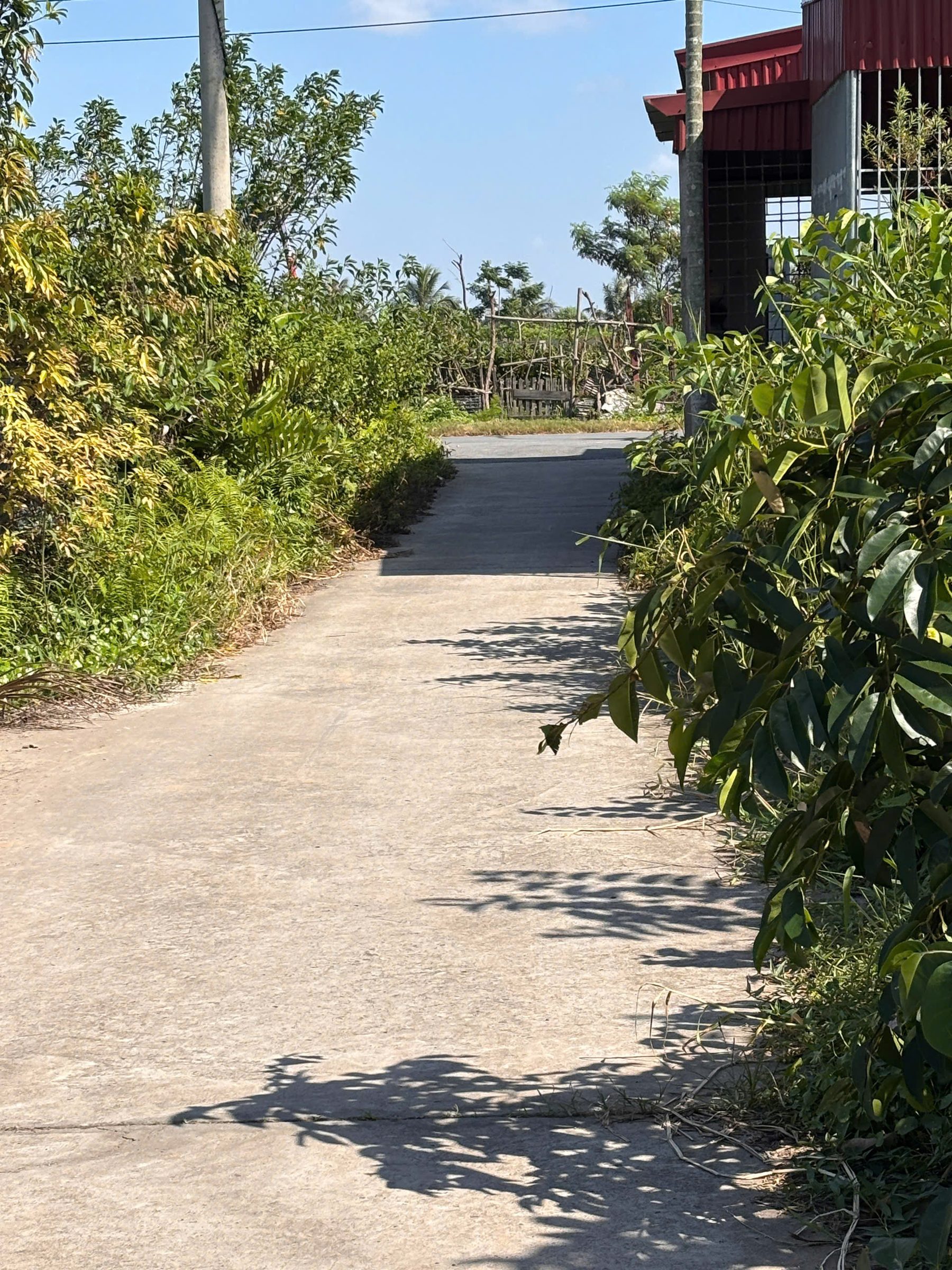 3TT100 TÂN THÀNH DƯƠNG KINH - 100M² NGÕ THÔNG 5M SÁT KCN - ZÁ CHỈ 2,1X TỶ
