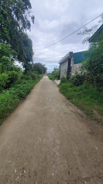 Bán lô đất đẹp tại thanh hưng