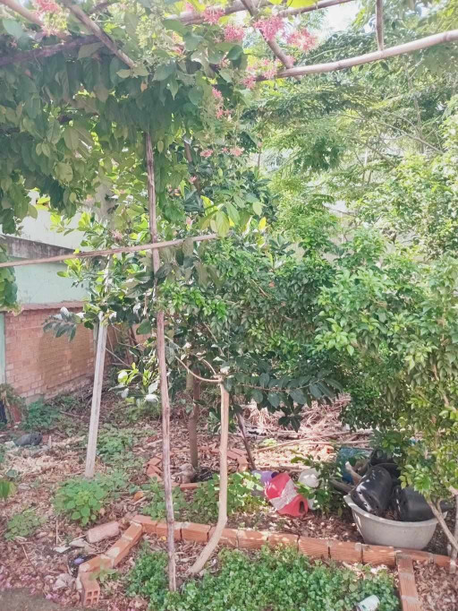 BÁN ĐẤT THỔ CƯ RẺ - P. TÂN THỚI NHẤT, Q12 - 84 M2 - GẦN  QL1A - HẺM ÔTÔ - CHỈ 4.2 TỶ - CHỈ 50TR/M2