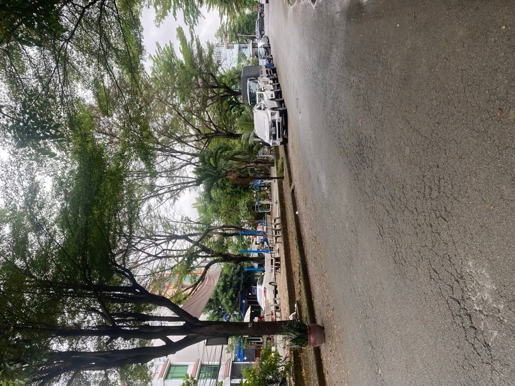 Bán Đất Mặt tiền , view công viên FULL thổ cư,  92m²  giá 11.3 tỷ