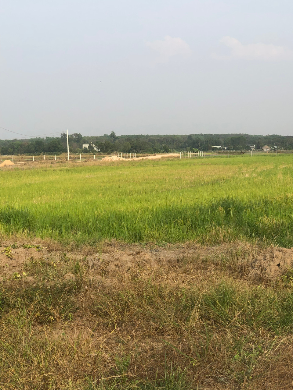 Bán đất 5844.1m² giá 12 tỷ Phường Tây Nam