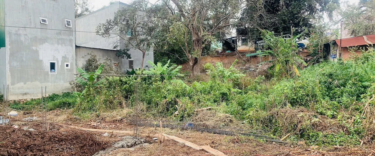 Bán đất 228.1m² tại Phường Thành Công Thành phố Buôn Ma Thuột