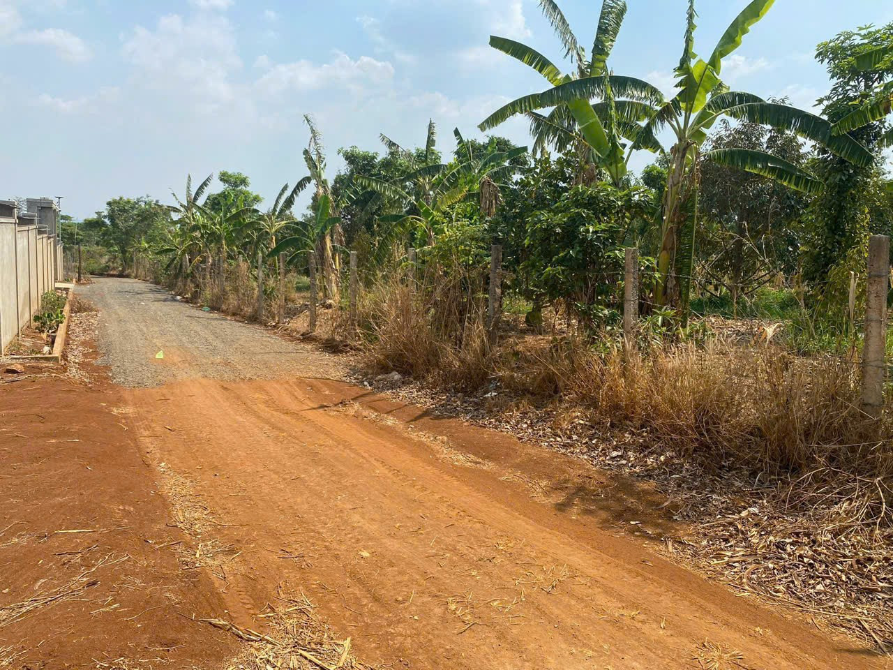 Đất nông nghiệp Khánh Xuân cũ 500m² ngang 21m giá 320 triệu Phường Thành Nhất