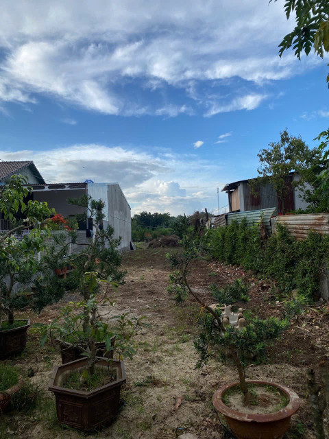 Bán đất 289m² ngang 6m giá 1.05 tỷ Phường Thành Nhất