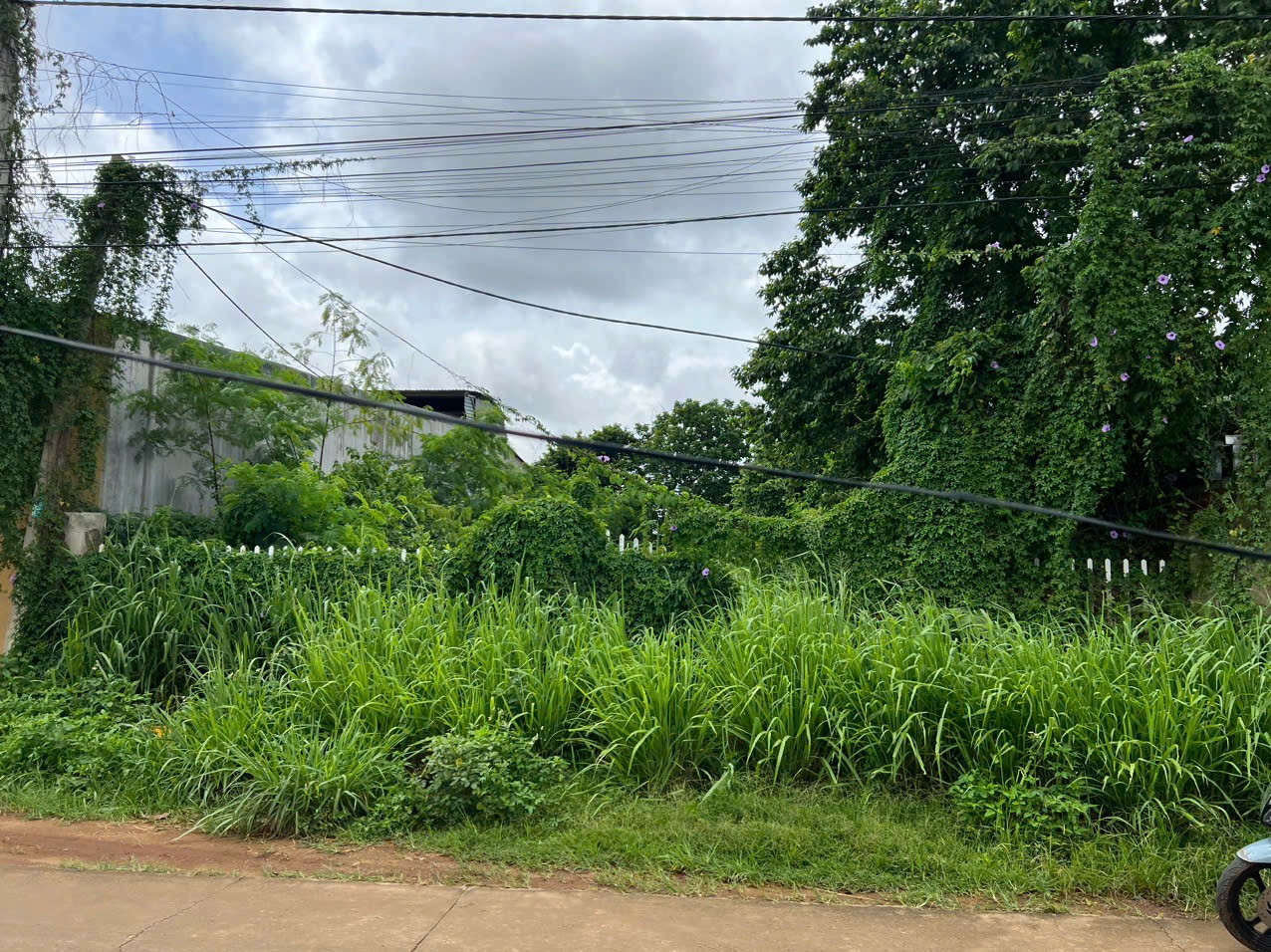 Bán đất 440m² ngang 5m giá 3.1 tỷ Phường Thành Nhất
