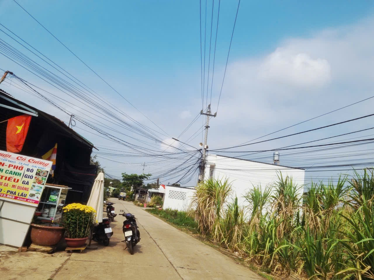 BÁN ĐẤT MT TRIỆU QUANG PHỤC, 115m, 5m GIÁ 1TỶ450, SỔ SẴN