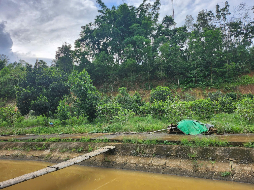 Bán đất tại phường Thanh Trường