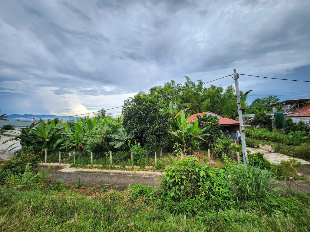 Bán đất thanh trường