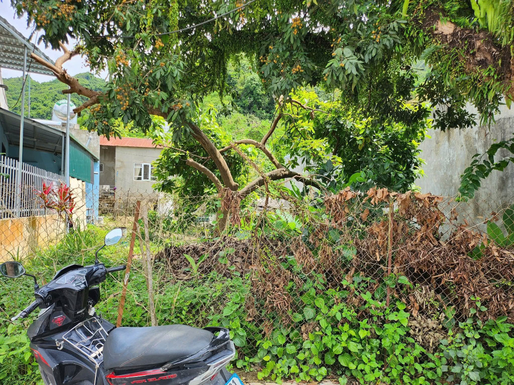 Bán đất tại tổ dân phố 4