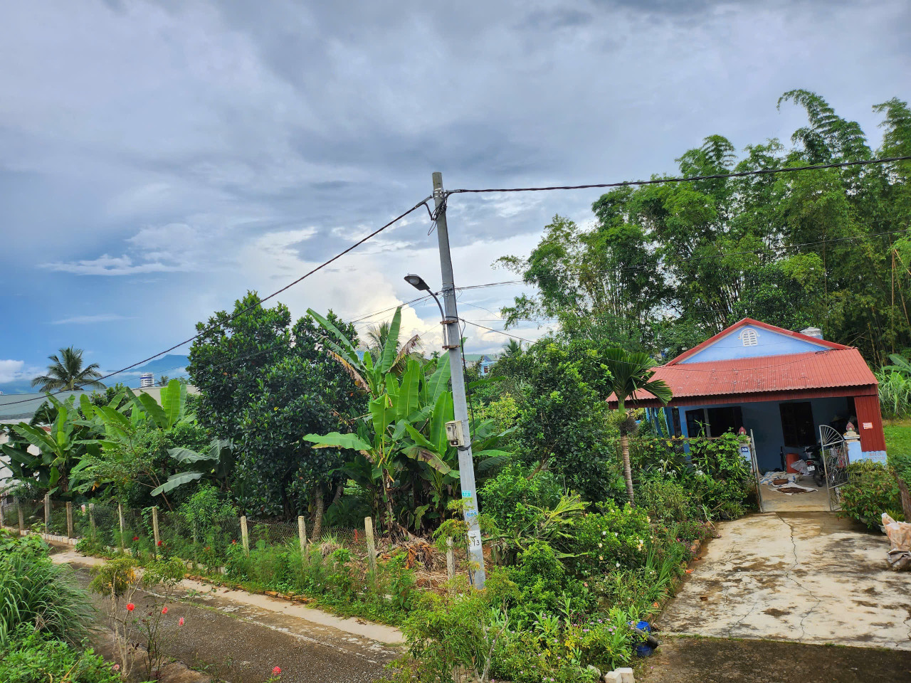 Bán đất vườn tổ 2 thanh trường