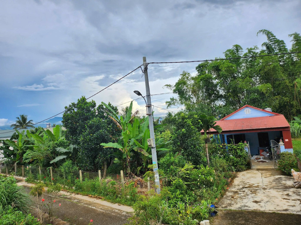 Đất tổ 2 Thanh Trường