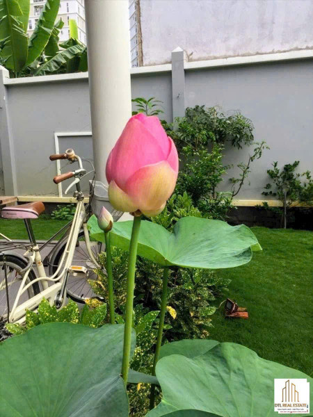 BDS HVL Villa Thảo Điền - 52 TỶ