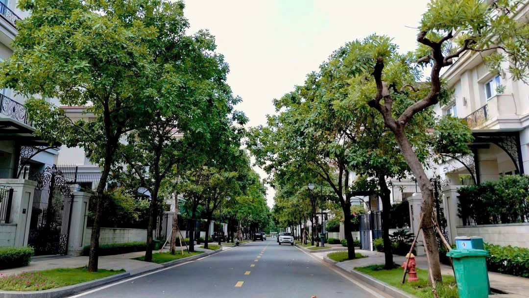 BDS HVL Biệt thự Sala, Quận 2