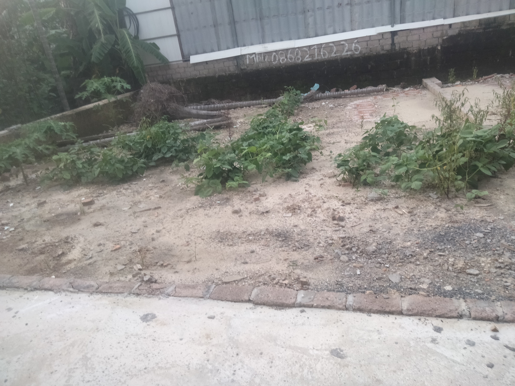 Bán đất 51m² ngang 6,8m giá 1.1 tỷ Phường Thiên Hương thôn 1 lh 0382341632 em Liên