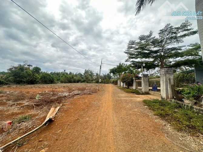 Bán đất 113.2m² giá 290 triệu tại Phường Thống Nhất Thị xã Thị Xã Buôn Hồ