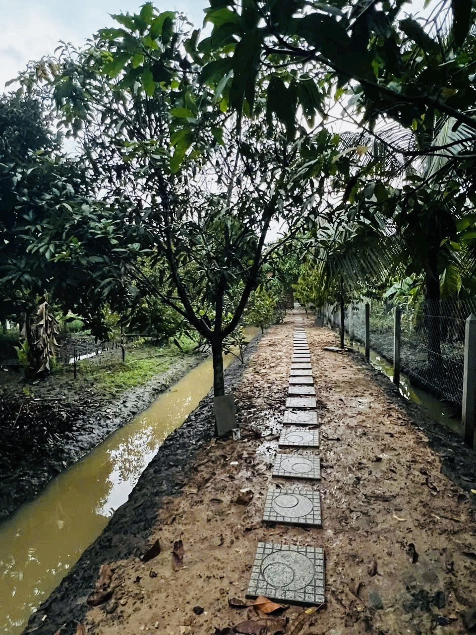 Bán đất 914.1m² giá 11 tỷ Phường Thuận An