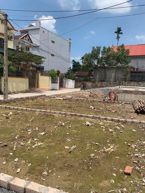 Mặt đường thông ,ngõ ô tô Hoa động