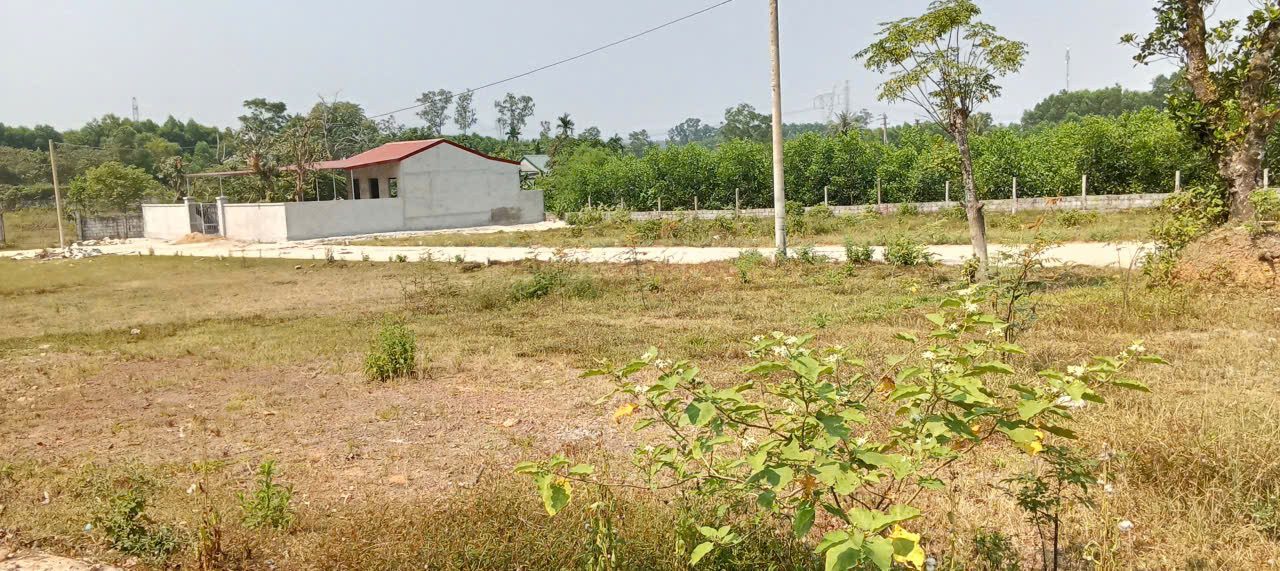 ĐẤT NỀN THÀNH PHỐ HUẾ, PHƯỜNG THANH THỦY GIÁ 531TR