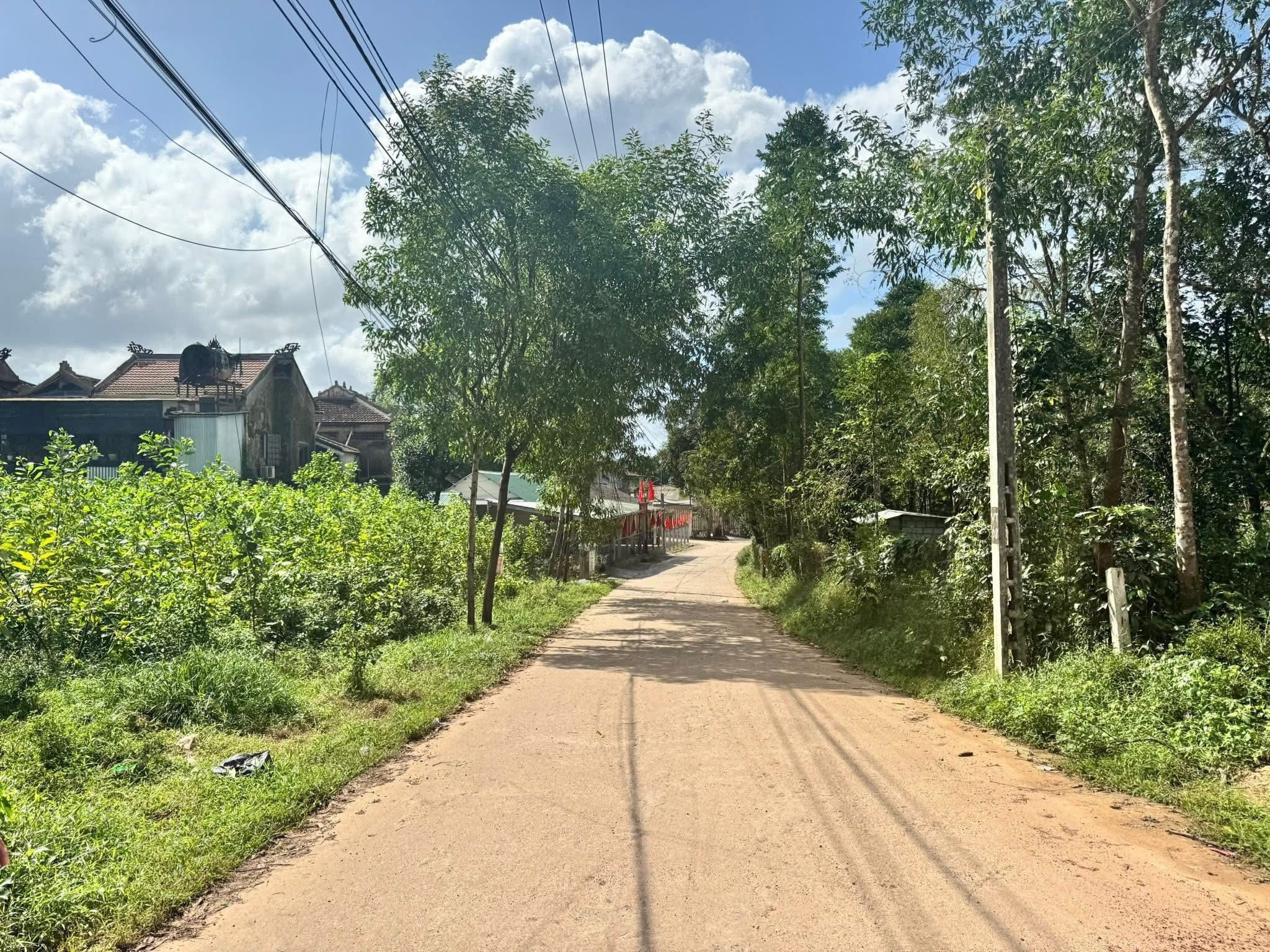 🔥 Đất Mặt tiền Vũ Ngọc Phan – Cơ hội đầu tư cực tốt!