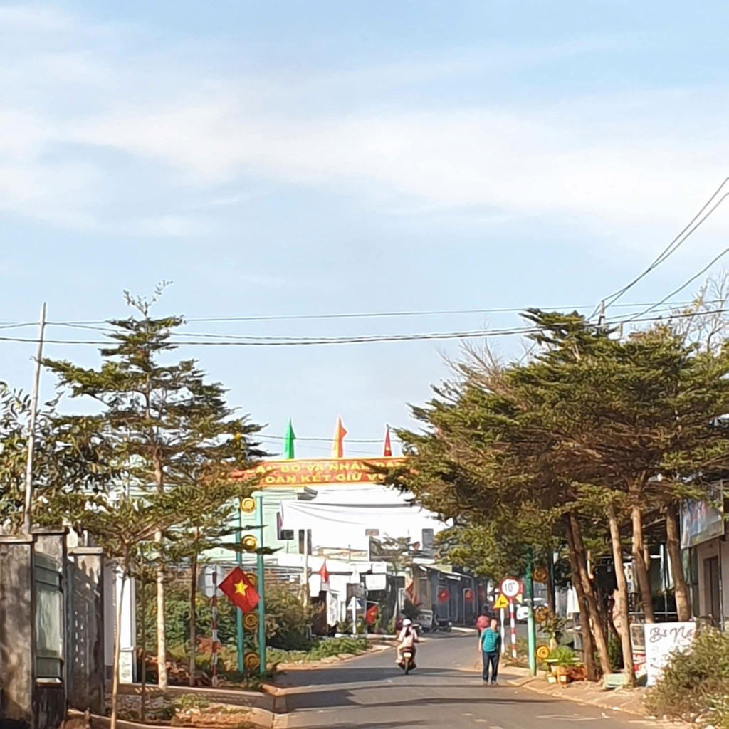 🌎 Siêu Phẩm Đất Mặt tiền Đặng Trần Côn