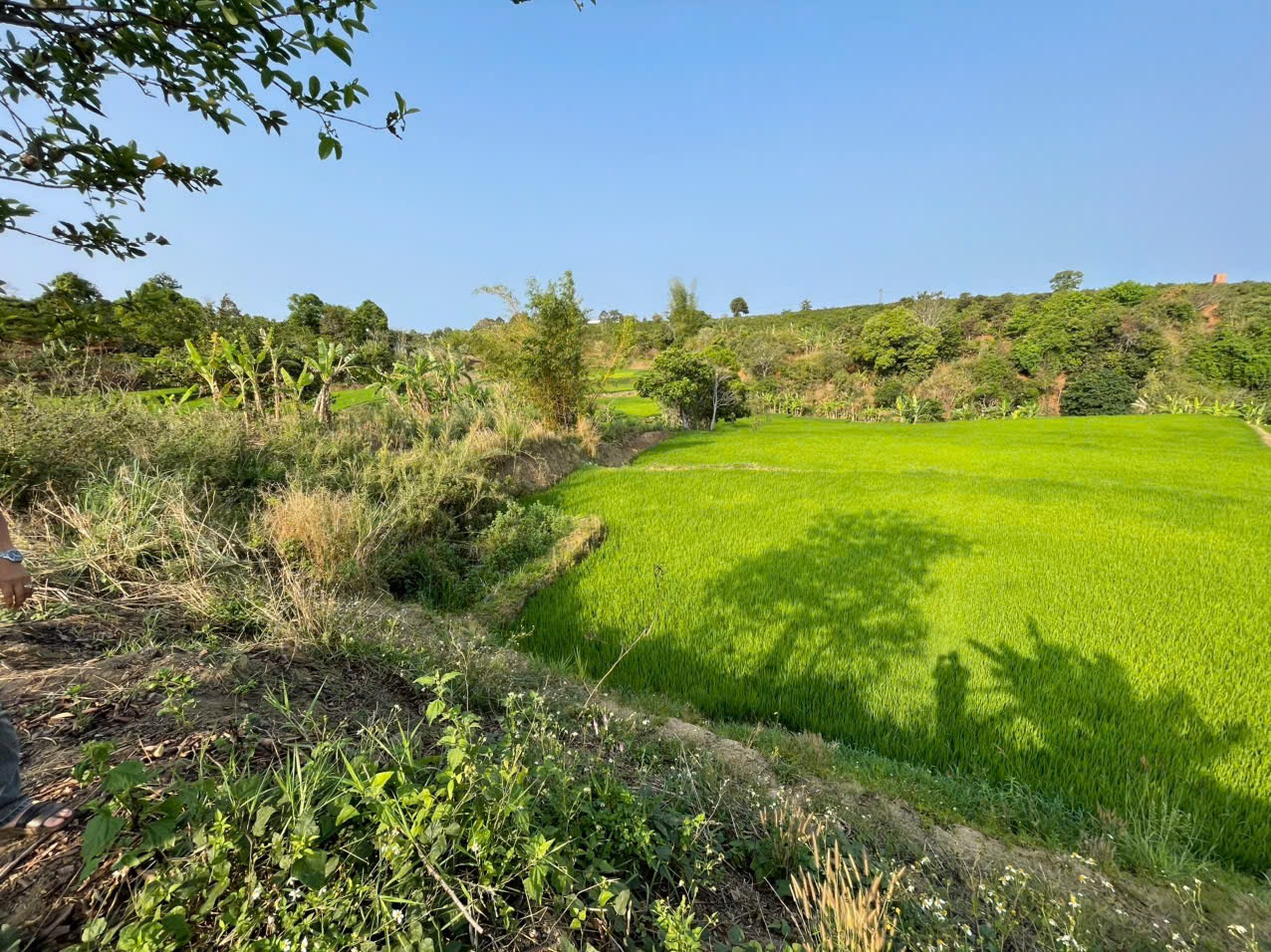 🌳 Đất mặt tiền Đặng Trần Côn, Trà Bá