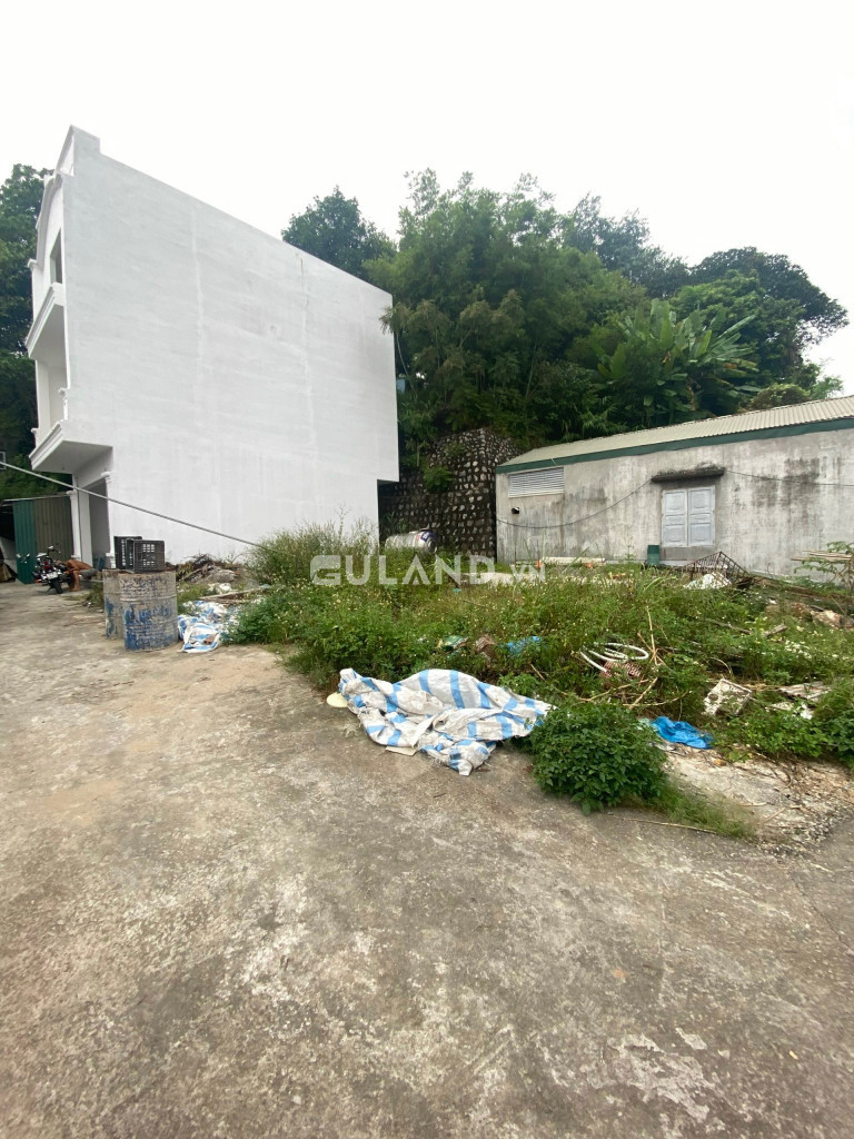 BÁN ĐẤT TRUNG TÂM GẦN CHỢ HẠ LONG 2,TRẦN HƯNG ĐẠO,HẠ LONG