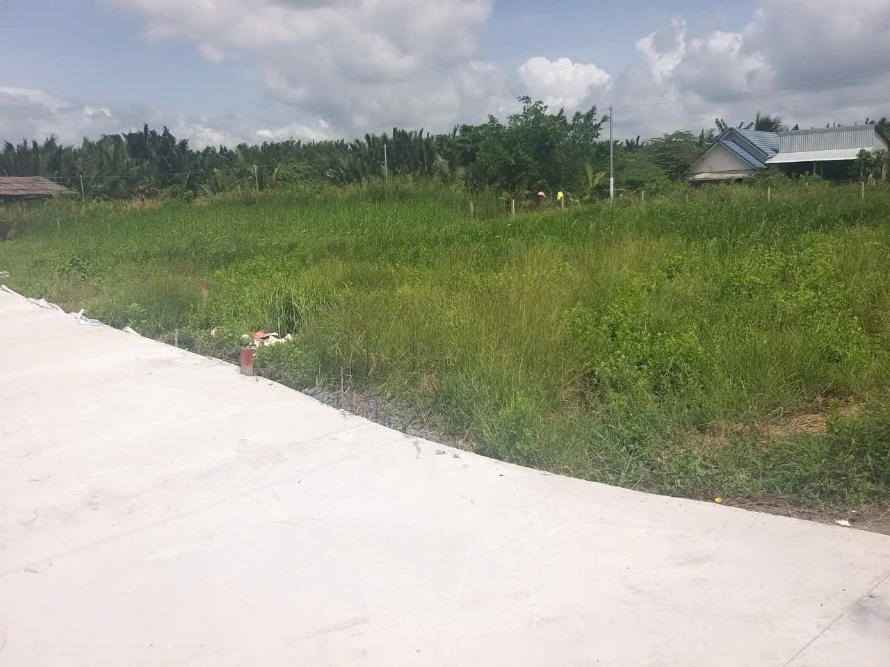 BÁN ĐẤT 8x30M, TRẦN THỊ NĂM, TÂN CHÁNH HIỆP – CƠ HỘI ĐẦU TƯ VÀNG QUẬN 12  -Giá 2.7ty bớt lộc