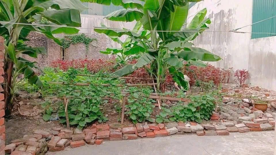 Bán đất trương định 109M tặng gpxd 7 tầng ngõ thông kinh doanh hai bà trưng
