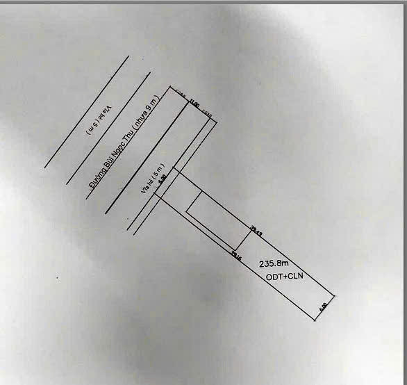 Mt Bùi Ngọc Thu-Tương Bình Hiệp