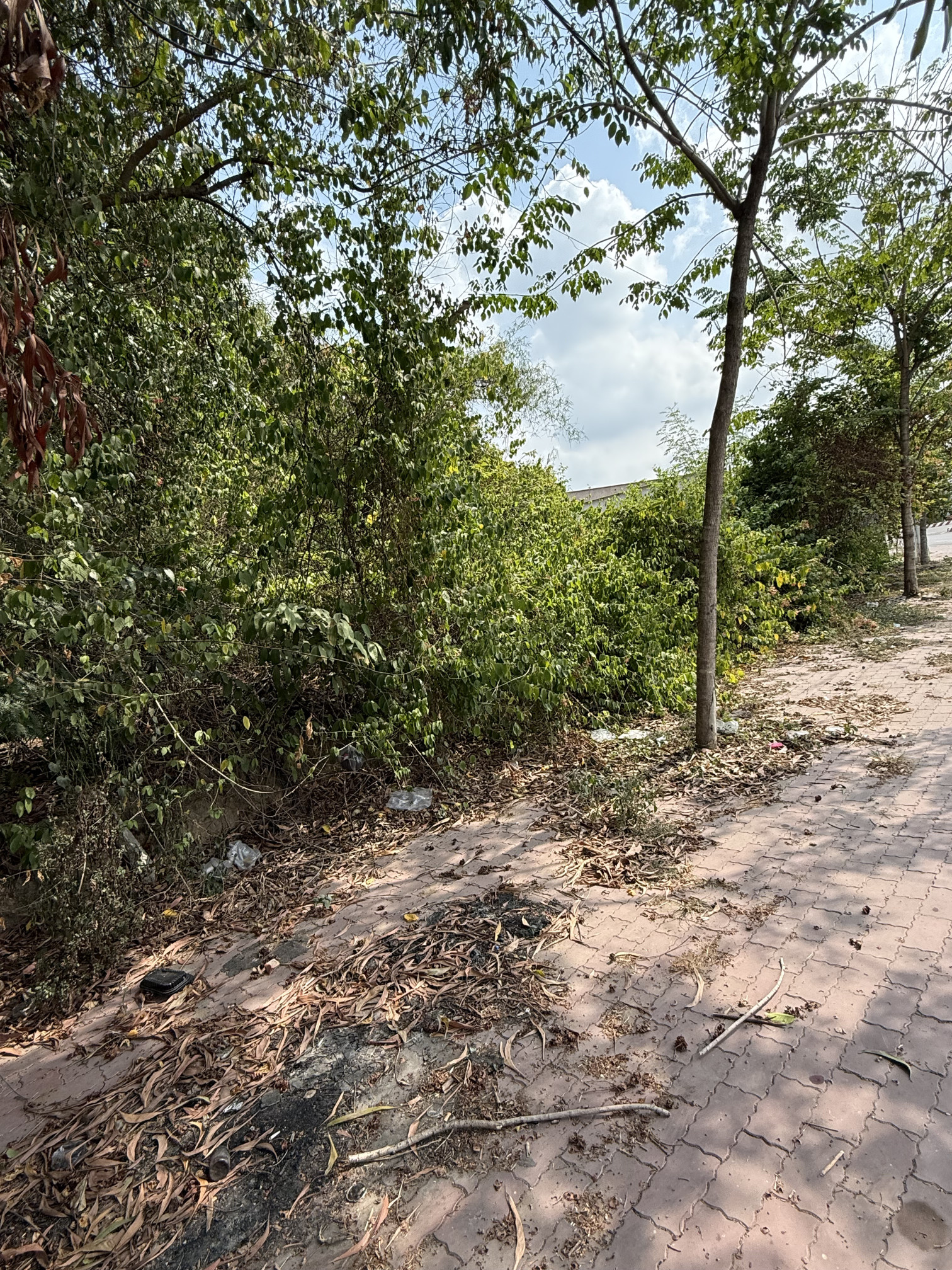 Mặt tiền đường dt746b