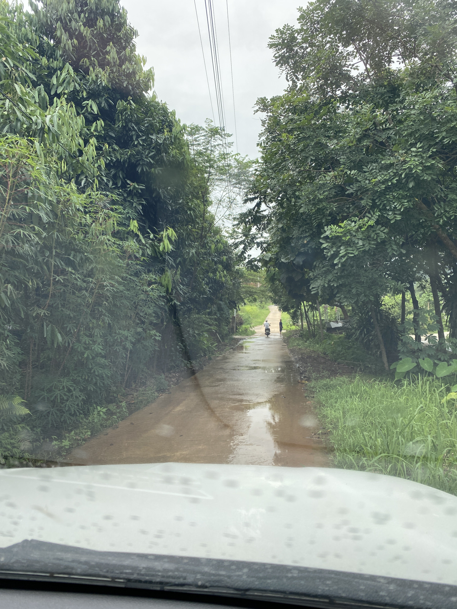 Bán đất 450m² ngang 15m giá 2.6 tỷ Phường Văn Phú