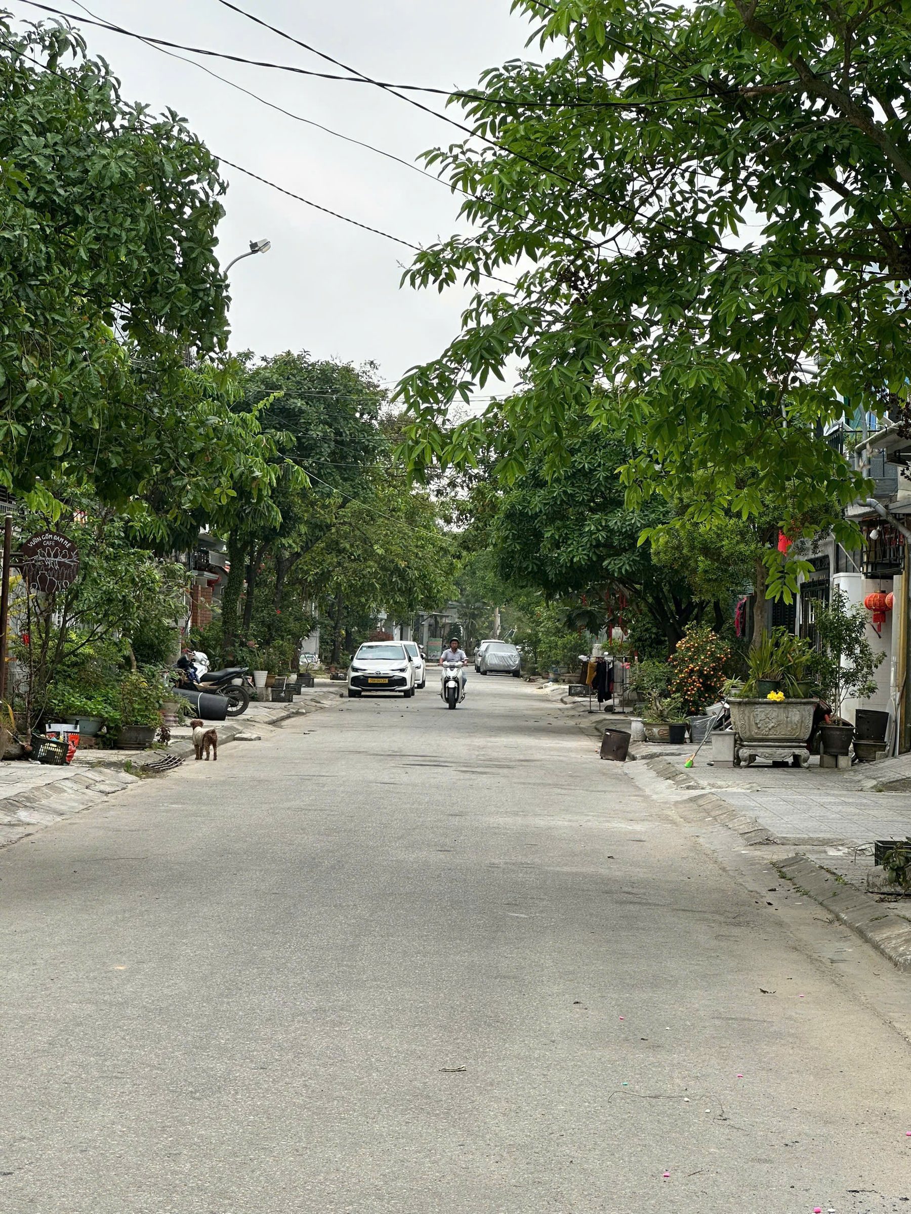 BÁN MT ĐƯỜNG HỒNG KHẲNG,Vỹ Dạ, TP Huế. Giá bán sập sàn chỉ 3,x Tỷ. X( thương lượng)