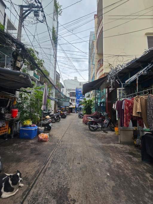 Nhà TT Quận 10 ✅ Khu Ẩm Thực Hồ Thị Kỷ, 7x12❤️81m², giá 14.3 tỷ, Hẻm Oto
