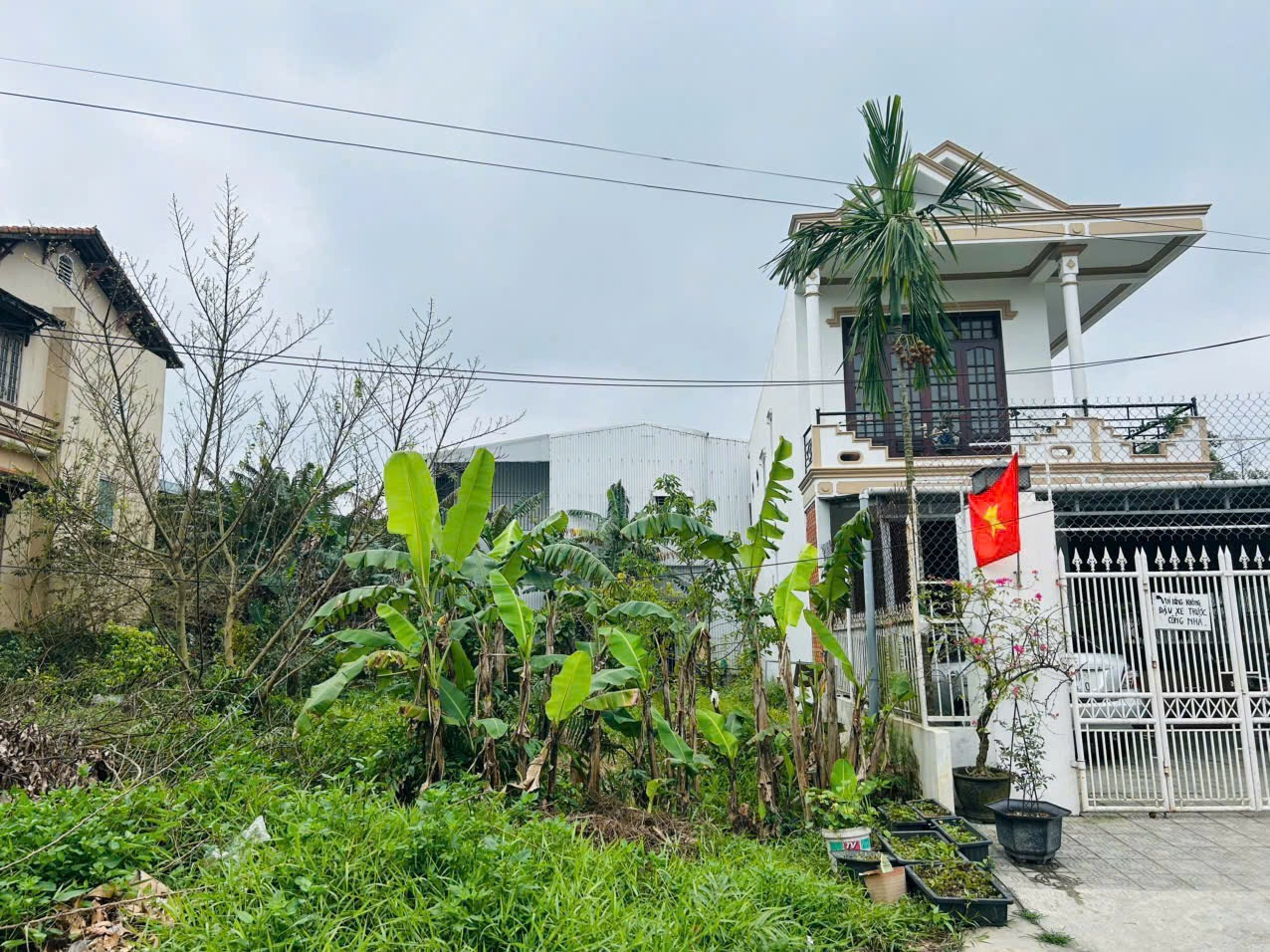 🆘Cần bán đất mặt tiền Diệu Quang. Lại Thế, Vỹ Dạ, TT-Huế. Đất thổ cư Dt 131m2 ngang 5.4m . Giá 23tr/m2
