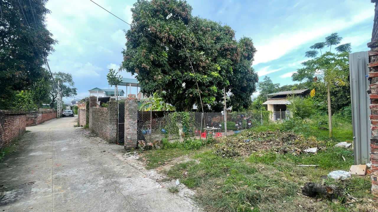 Bán đất 125m² ngang 5m giá 1.5 tỷ Phường Xuân Hòa