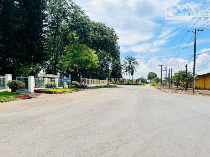 ĐẤT ĐÔ THỊ GIÁ ĐẤT TRỒNG CÂY LÂU NĂM CƠ HỘI X3 TÀI SẢN CÒN 3 LÔ Ạ ( ngay trung tâm Thành Phố)