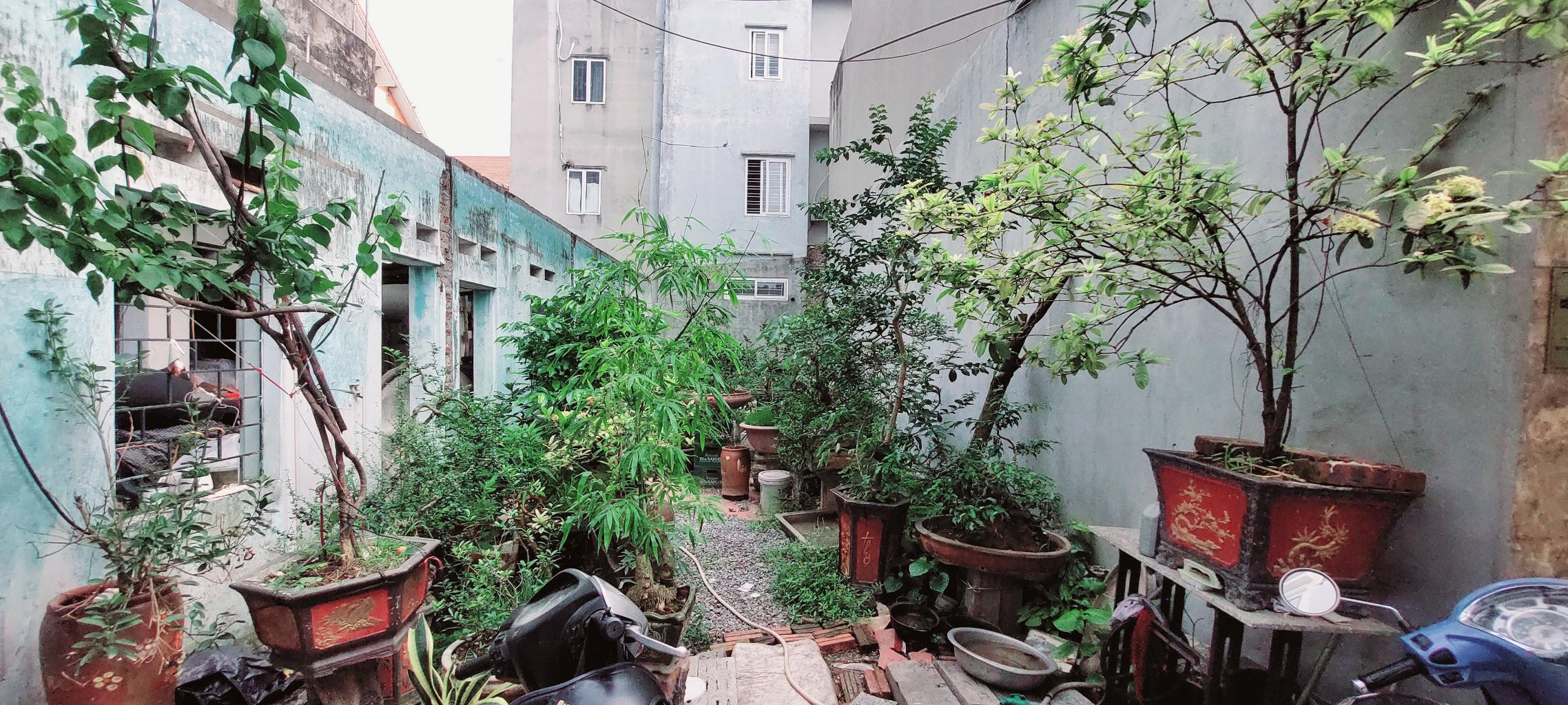 Bán 50M đất hưng phúc cách phố 30M hoàng mai