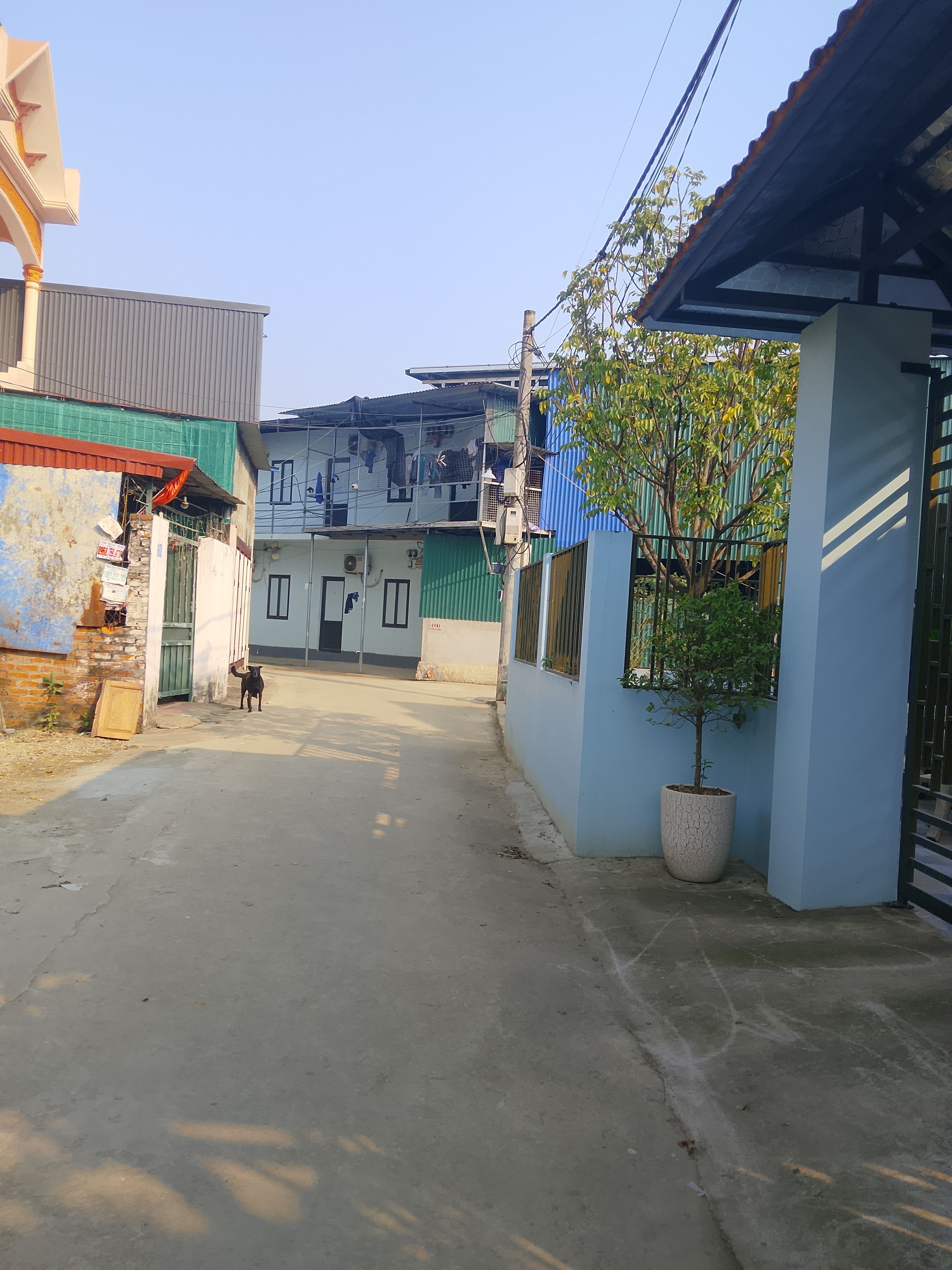 Chủ cần tiền cưới vợ làm nhà cho con, cần bán gấp 100m 5*20 full thổ cư giá chỉ 36tr900k/1m