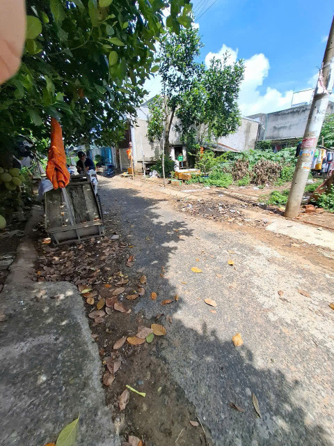 Bán Gấp Cặp Nền Giá Rẻ Cái Dầu - Châu Phú, An Giang