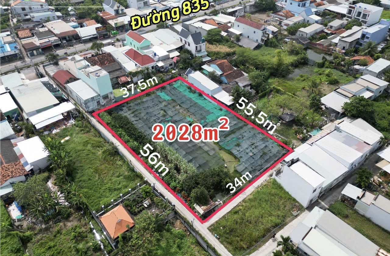 Đất 3MT - Thị Trấn Cần Giuộc, 2028m2 có 600m2 thổ cư, cách ĐT 835 chỉ 30m, giá đầu tư 6,5tr/m2