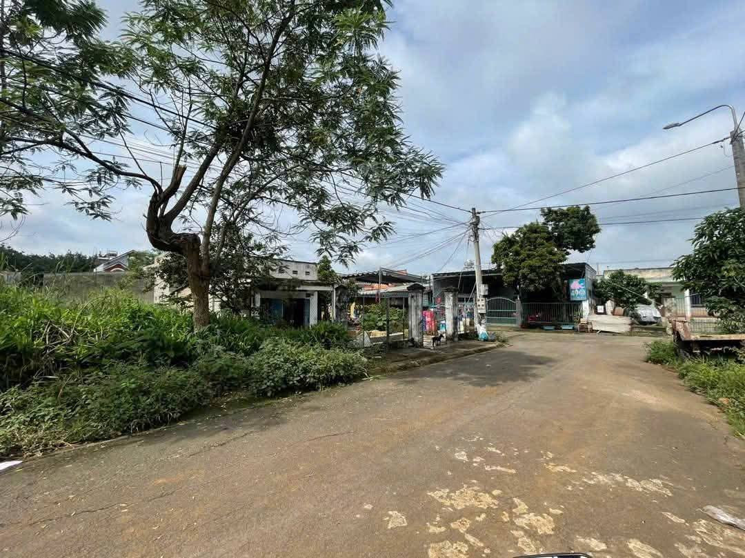 Đường nhựa dân cư 49- TT Dầu Giây