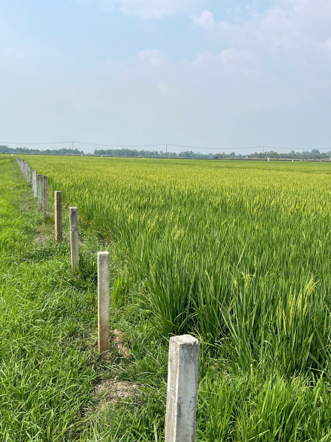 bán gấp lô đât full thổ, Định Quán