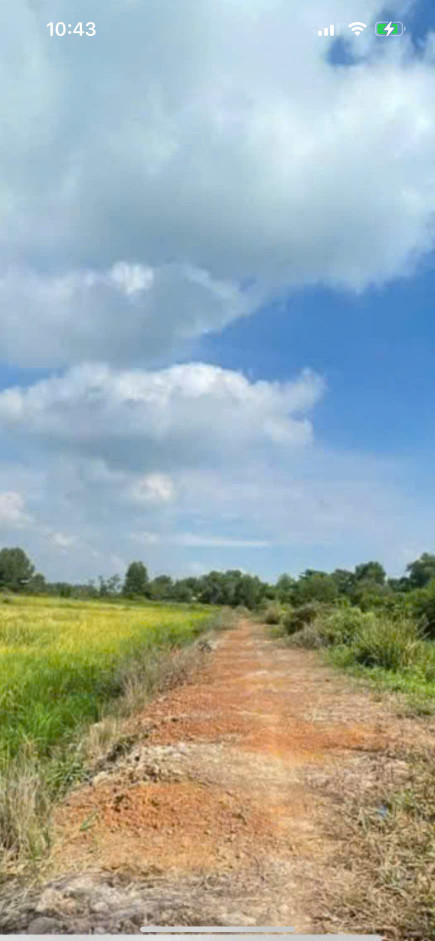 bán nhanh lô đất thổ cư giá rẻ