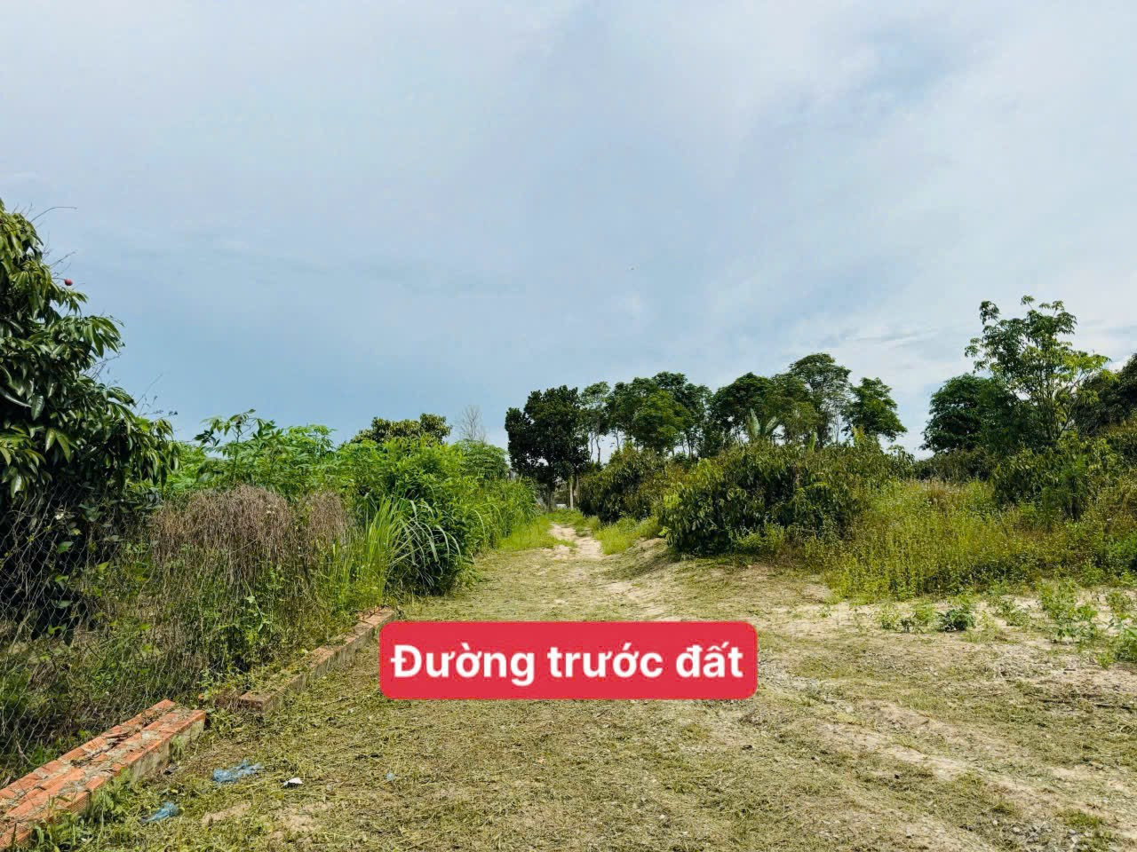 Bán đất 250m² ngang 5m giá 179 triệu tại Thị trấn Ea Knốp Huyện Ea Kar